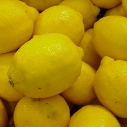 Lemonade_citrus_4b14915e5aaf3