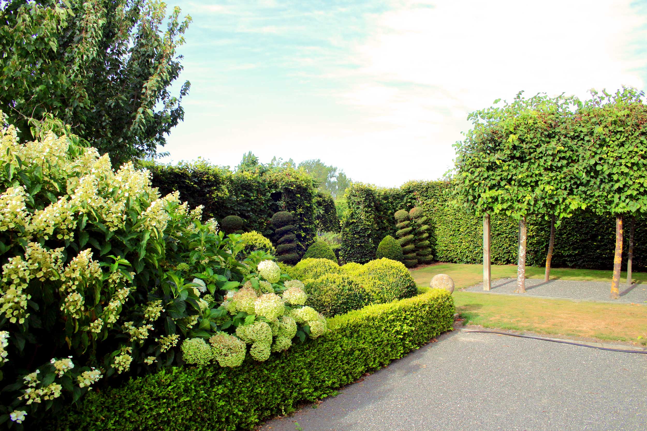 Garden Design Image - New Zealand Garden Design